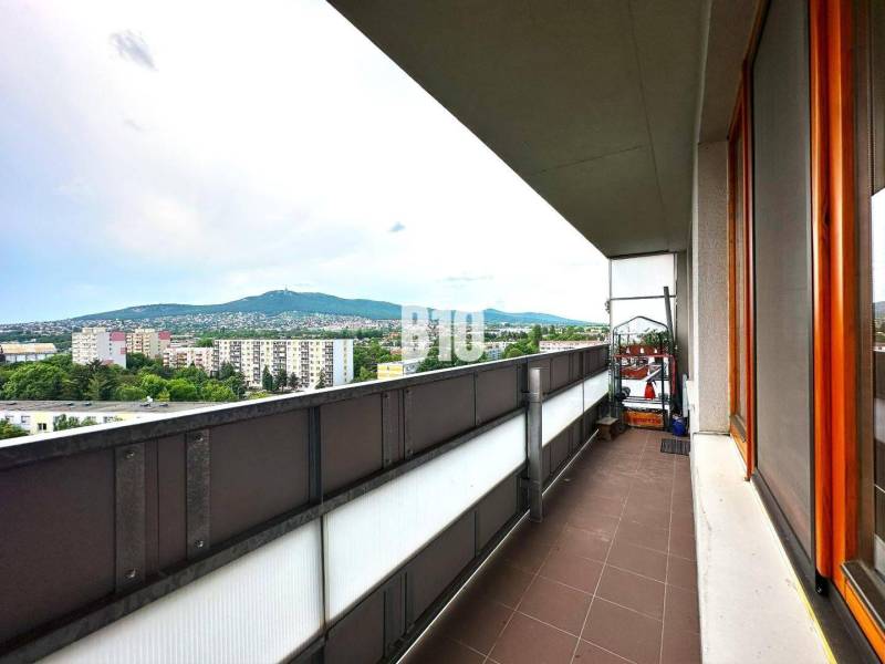 Nitra One bedroom apartment Rent reality Nitra