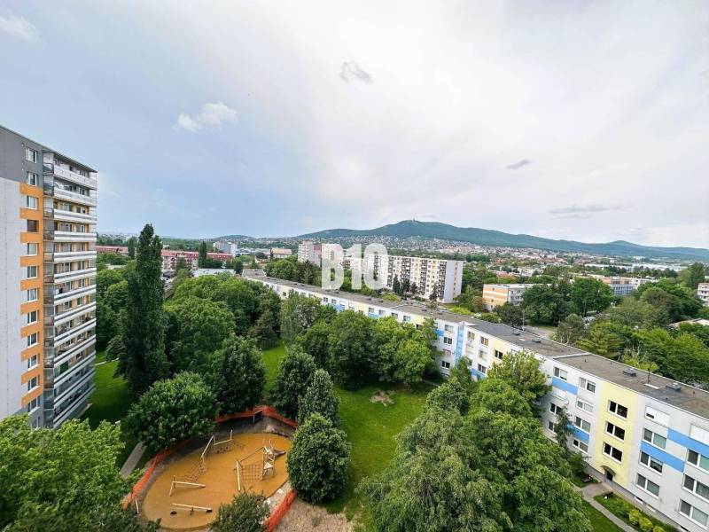 Nitra One bedroom apartment Rent reality Nitra