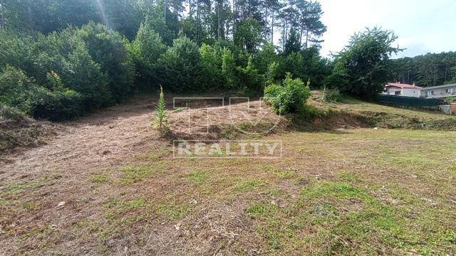 Brodzany Land – for living Sale reality Partizánske