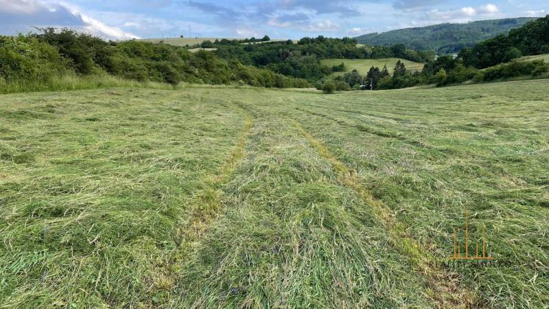 Prešov Agrarian and forest land Sale reality Prešov