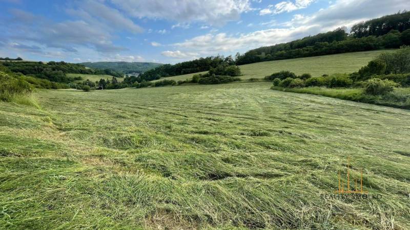 Prešov Agrarian and forest land Sale reality Prešov