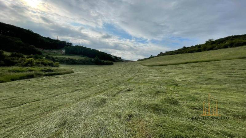 Prešov Agrarian and forest land Sale reality Prešov