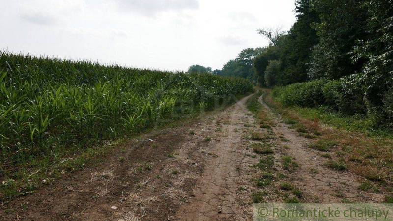 Pezinok Agrarian and forest land Sale reality Pezinok