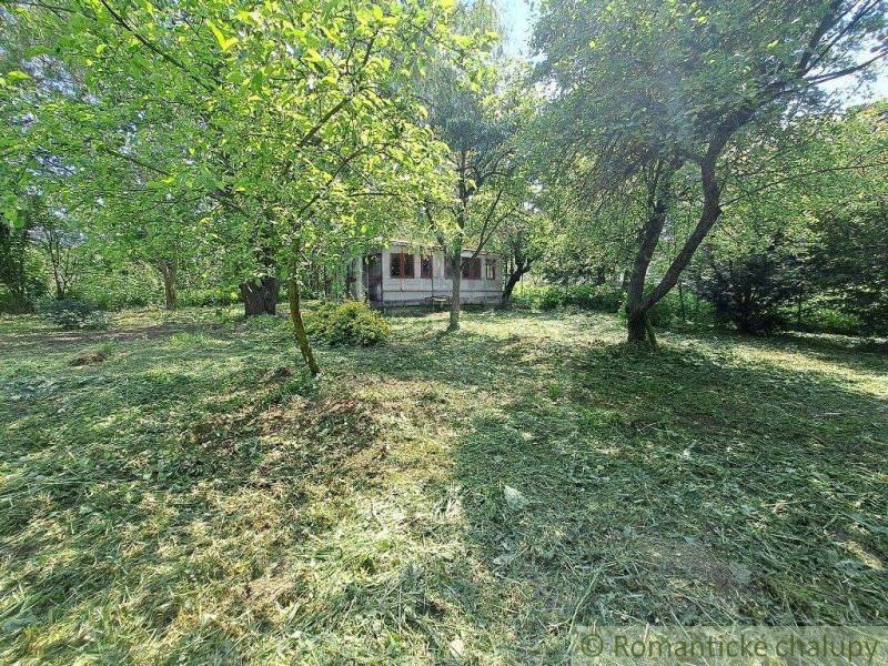 Podhorany Land – for living Sale reality Nitra