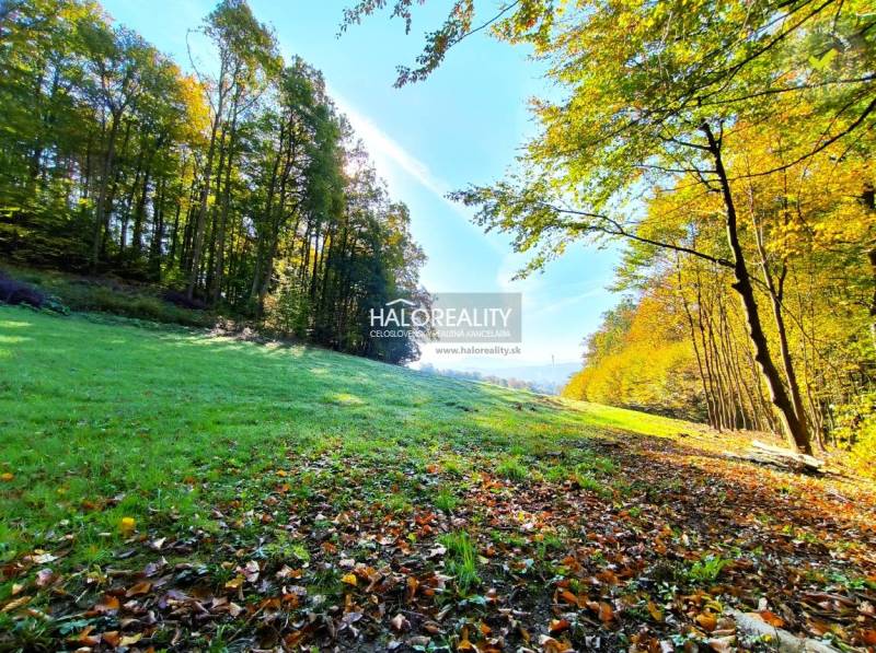 Považská Bystrica Land – for living Sale reality Považská Bystrica