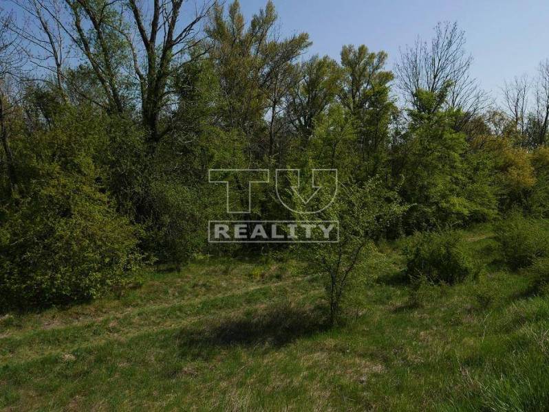 Tomášov Land – for living Sale reality Senec