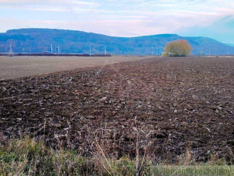 Trenčianske Bohuslavice Agrarian and forest land Sale reality Nové Mesto nad Váhom