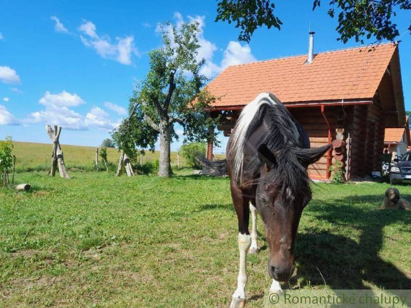 Zemiansky Vrbovok Cottage Sale reality Krupina