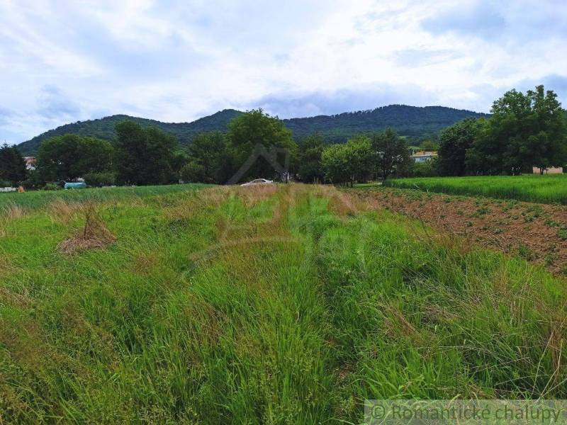 Humenné Agrarian and forest land Sale reality Humenné