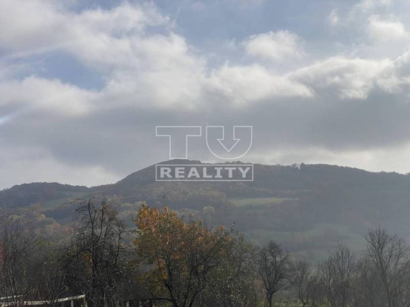 Horná Súča Agrarian and forest land Sale reality Trenčín