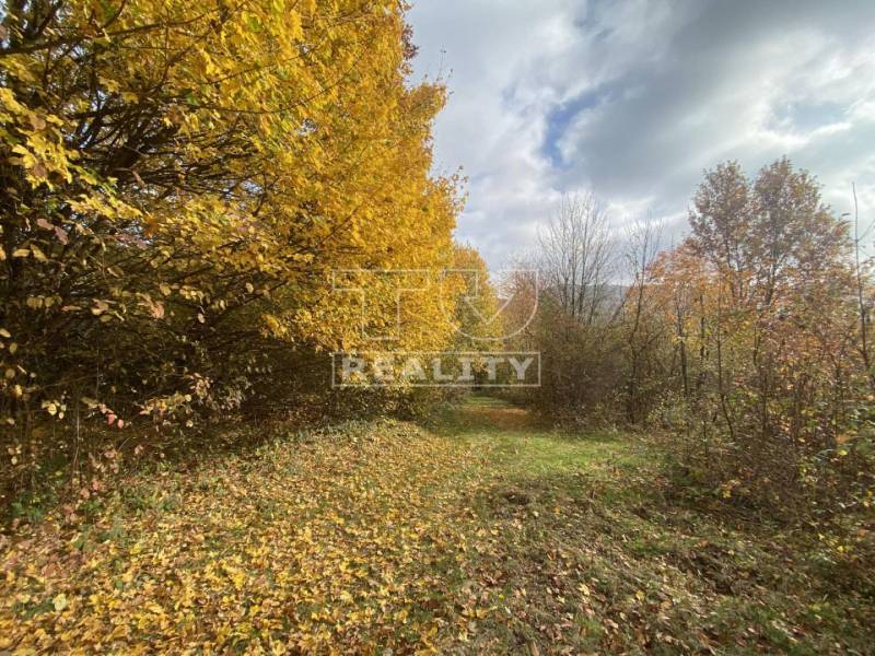 Horná Súča Agrarian and forest land Sale reality Trenčín