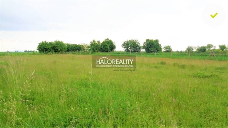 Cabaj - Čápor Land – for living Sale reality Nitra