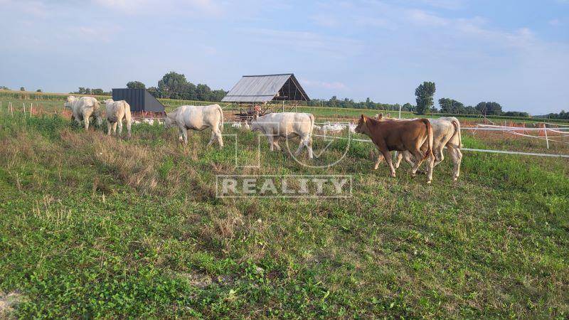 Okoč Building Sale reality Dunajská Streda