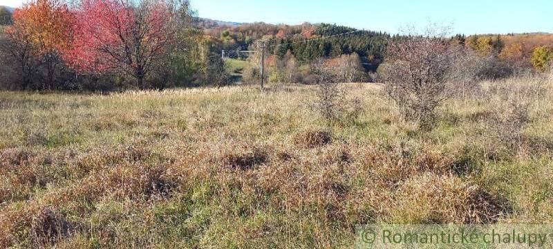 Ábelová Agrarian and forest land Sale reality Lučenec