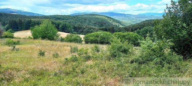 Ábelová Agrarian and forest land Sale reality Lučenec