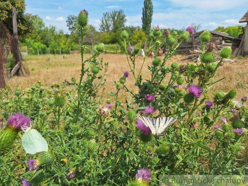 Nové Zámky Land – for living Sale reality Nové Zámky