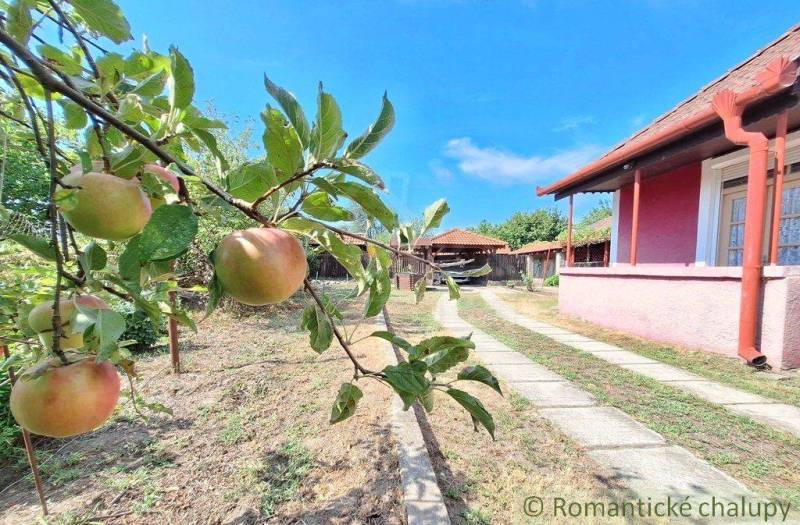 Kravany nad Dunajom Family house Sale reality Komárno