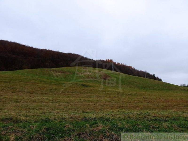 Humenné Agrarian and forest land Sale reality Humenné