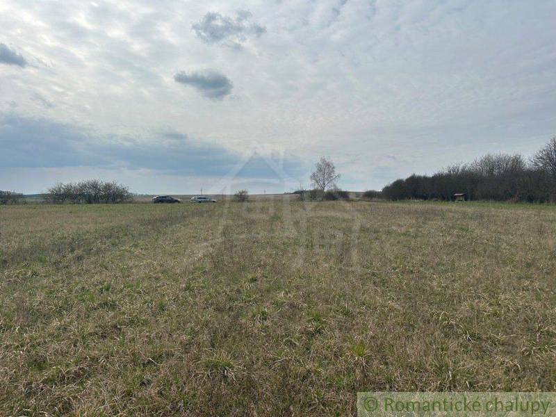 Hrnčiarske Zalužany Agrarian and forest land Sale reality Poltár