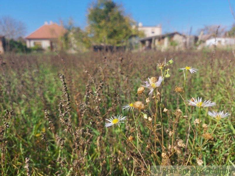 Kravany nad Dunajom Family house Sale reality Komárno