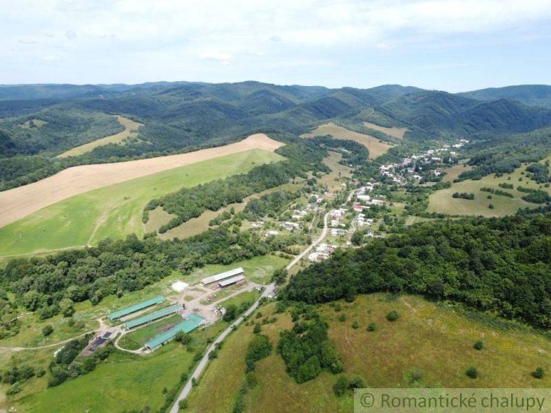 Osadné Agrarian and forest land Sale reality Snina