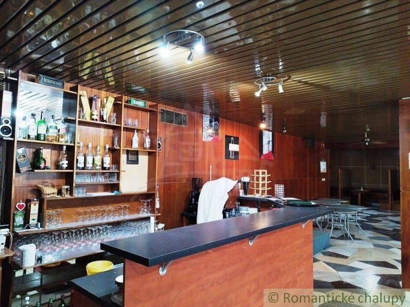 Dudince Commercial premises Sale reality Krupina