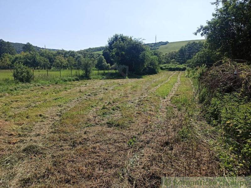 Košarovce Family house Sale reality Humenné