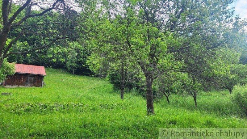 Veľké Rovné Land – for living Sale reality Bytča