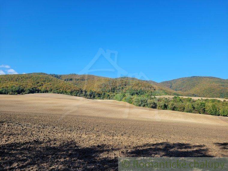 Dohňany Agrarian and forest land Sale reality Púchov