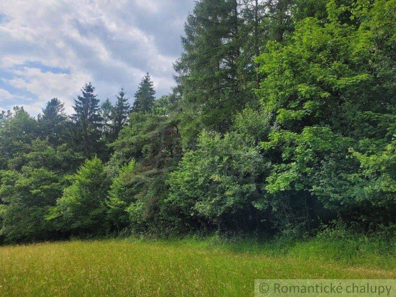 Záriečie Agrarian and forest land Sale reality Púchov