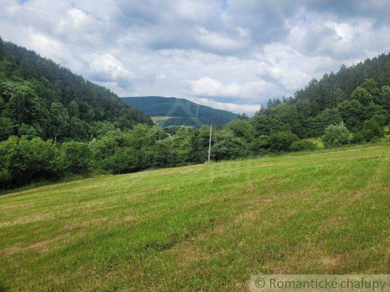 Záriečie Agrarian and forest land Sale reality Púchov