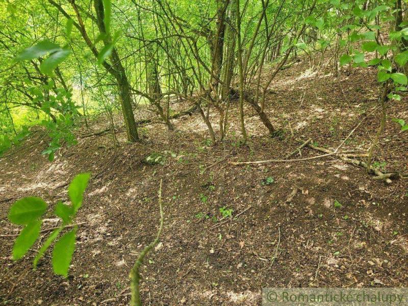 Záriečie Agrarian and forest land Sale reality Púchov