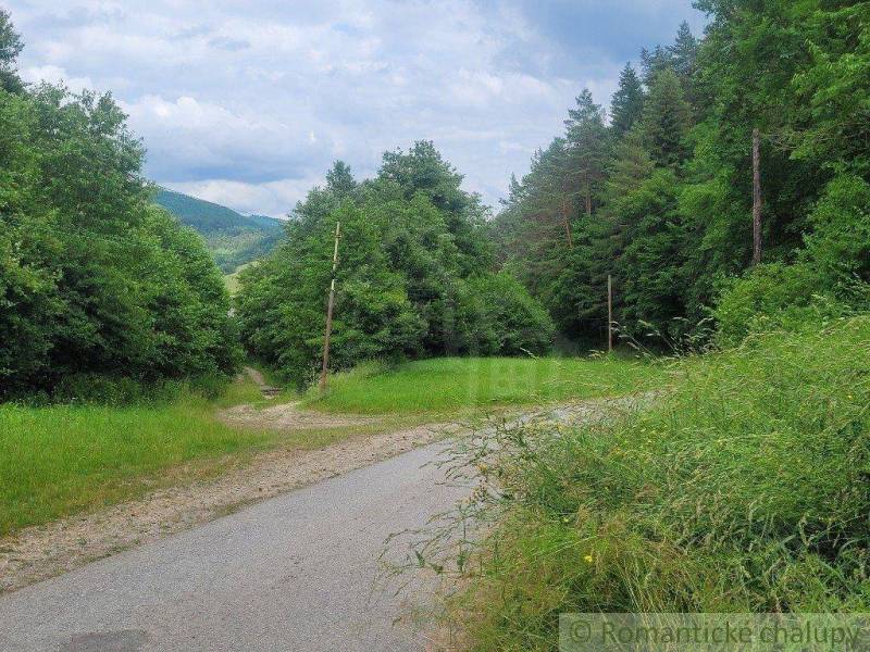 Záriečie Agrarian and forest land Sale reality Púchov