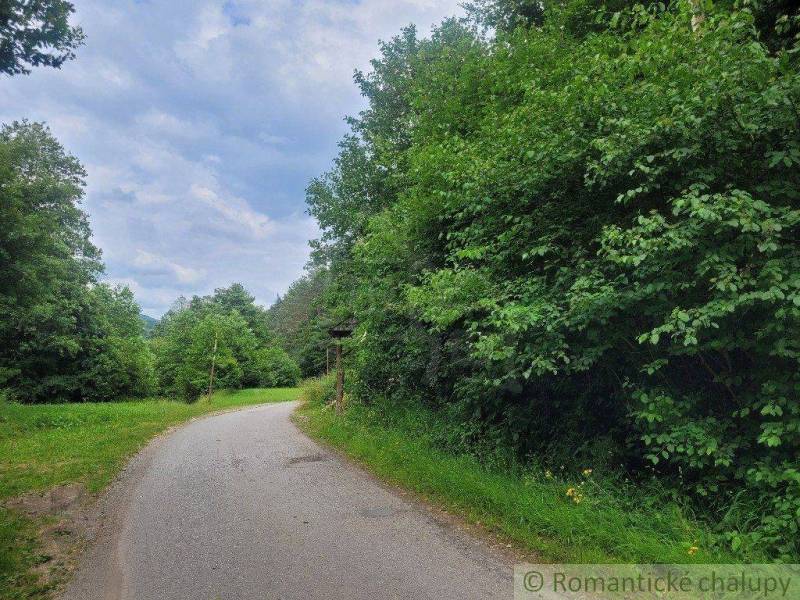 Záriečie Agrarian and forest land Sale reality Púchov