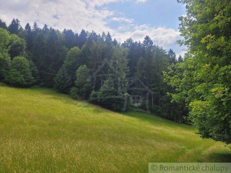 Záriečie Agrarian and forest land Sale reality Púchov