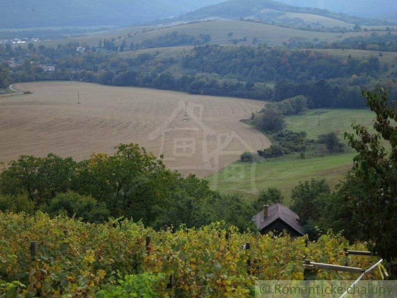 Rožňava Agrarian and forest land Sale reality Rožňava