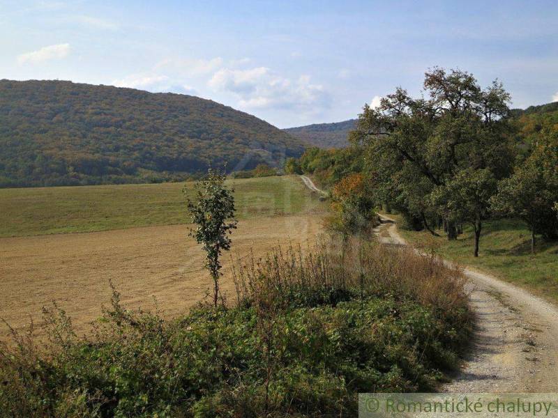 Rožňava Agrarian and forest land Sale reality Rožňava