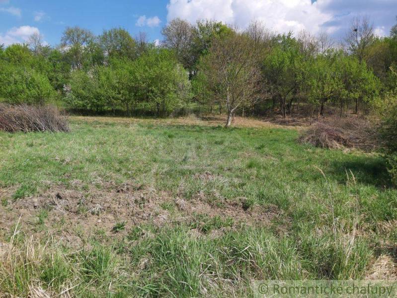 Dolné Kočkovce Agrarian and forest land Sale reality Púchov