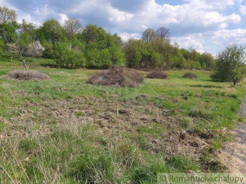 Dolné Kočkovce Agrarian and forest land Sale reality Púchov