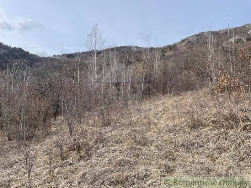 Jablonov nad Turňou Agrarian and forest land Sale reality Rožňava