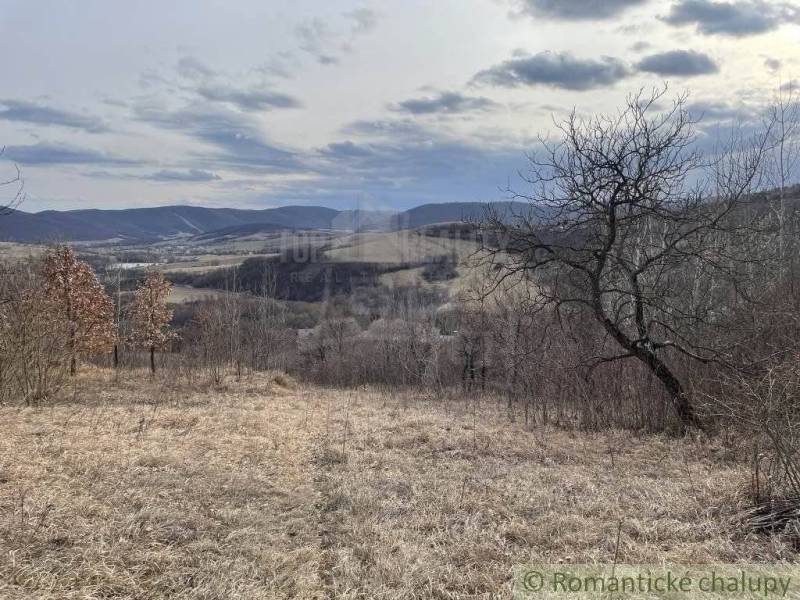 Jablonov nad Turňou Agrarian and forest land Sale reality Rožňava