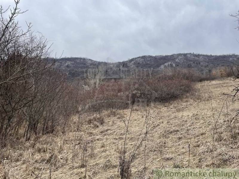 Jablonov nad Turňou Agrarian and forest land Sale reality Rožňava