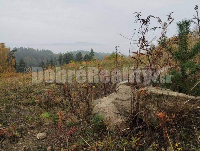 Badín Land – for living Sale reality Banská Bystrica