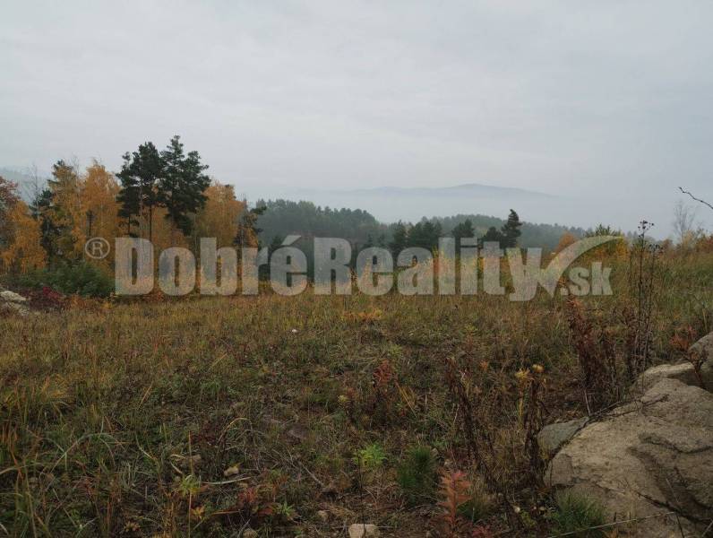 Badín Land – for living Sale reality Banská Bystrica