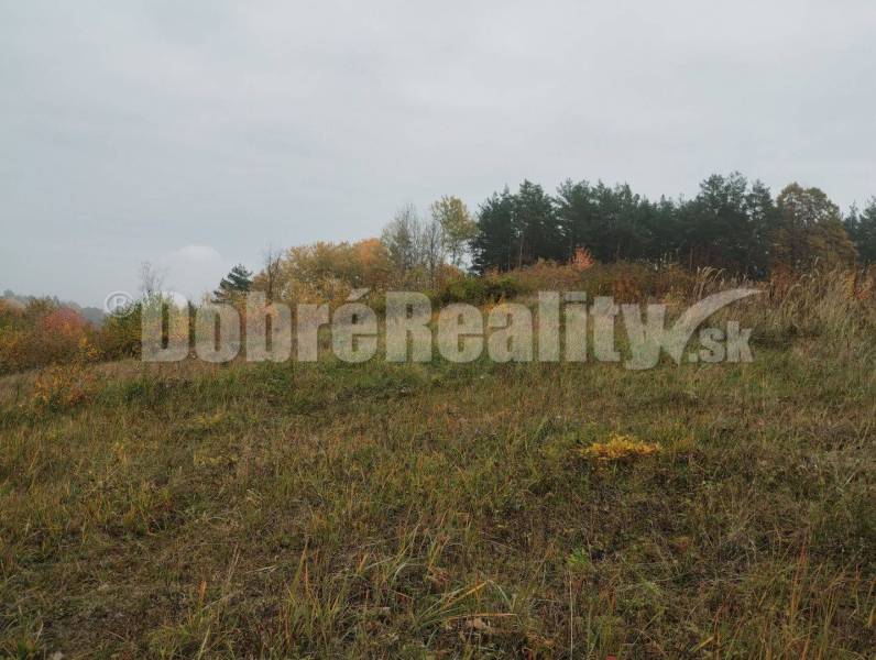 Badín Land – for living Sale reality Banská Bystrica