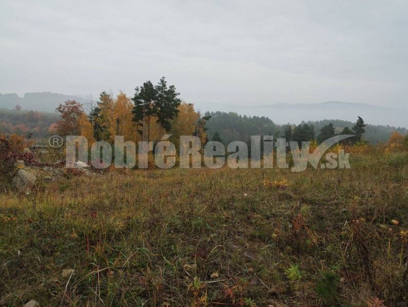 Badín Land – for living Sale reality Banská Bystrica