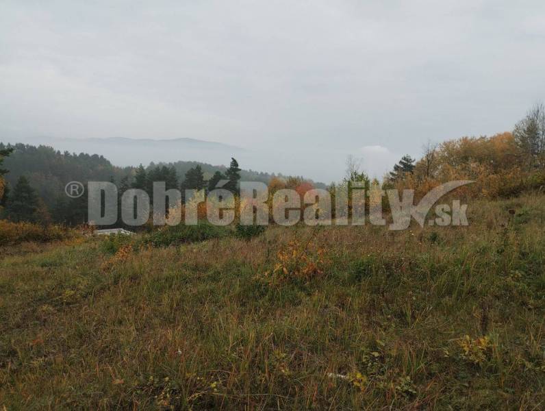 Badín Land – for living Sale reality Banská Bystrica