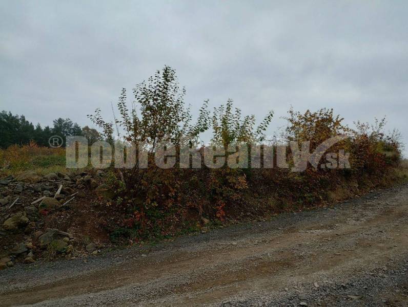 Badín Land – for living Sale reality Banská Bystrica