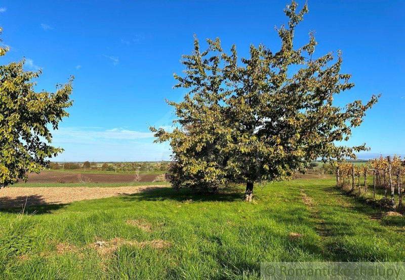 Nové Zámky Agrarian and forest land Sale reality Nové Zámky