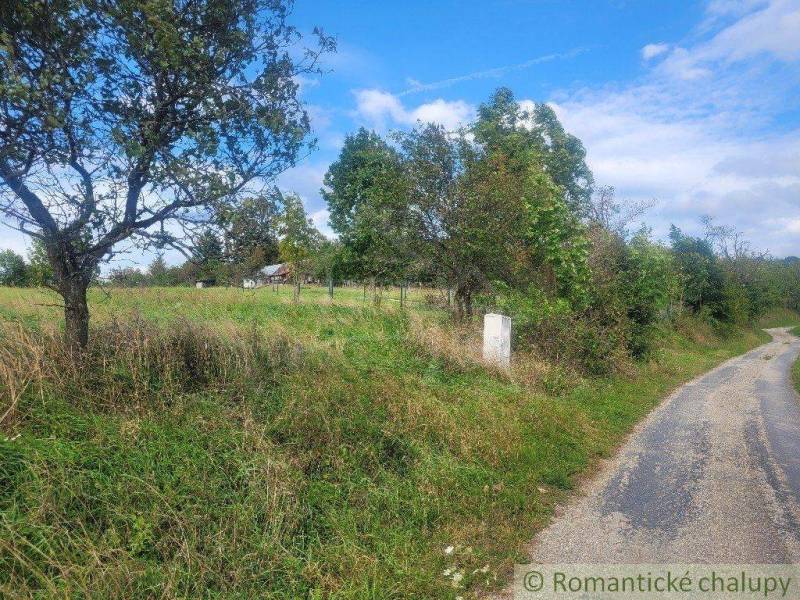 Lysá pod Makytou Agrarian and forest land Sale reality Púchov